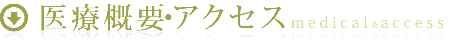 医療概要・アクセス