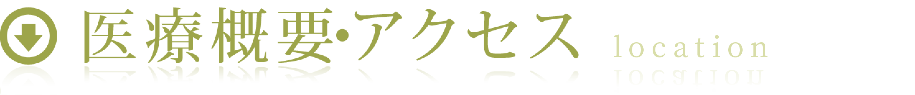 医療概要・アクセス